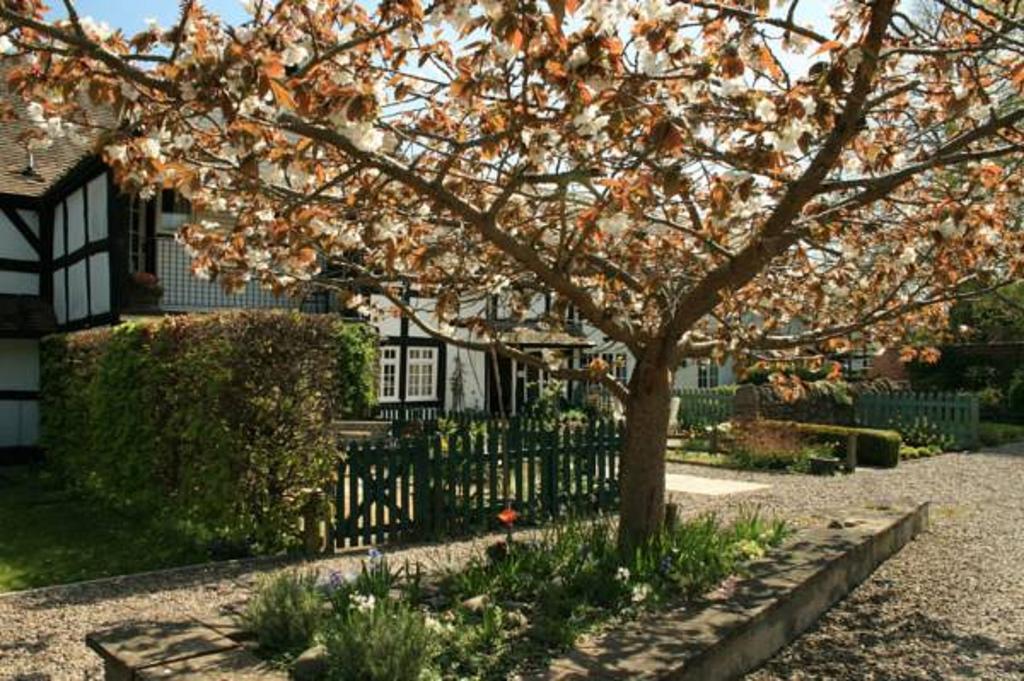 Peel Cottage, Dilwyn الغرفة الصورة